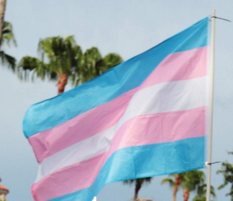 Transgender pride flag